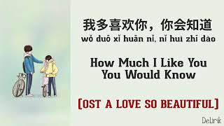 Wo Duo Xi Huan Ni ,Ni Hui Zhi Dao ( 我多喜欢你，你会知道)/ How Much I Like You Would Know