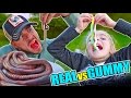 REAL FOOD VS GUMMY FOOD - COMIDA REAL VS GOMINOLAS!!
