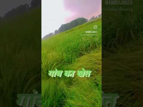 Desi Desi na