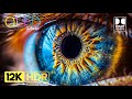 THE BEST 12K HDR Video ULTRA HD - OLED Dolby Vision Demo