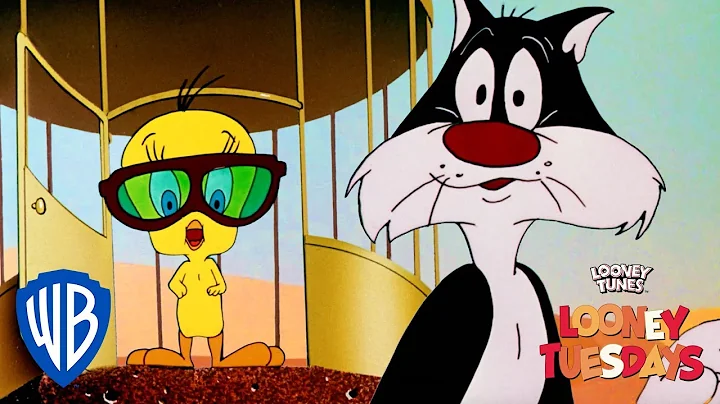 Looney Tuesdays | Did I Saw A Putty Tat? | Looney ...