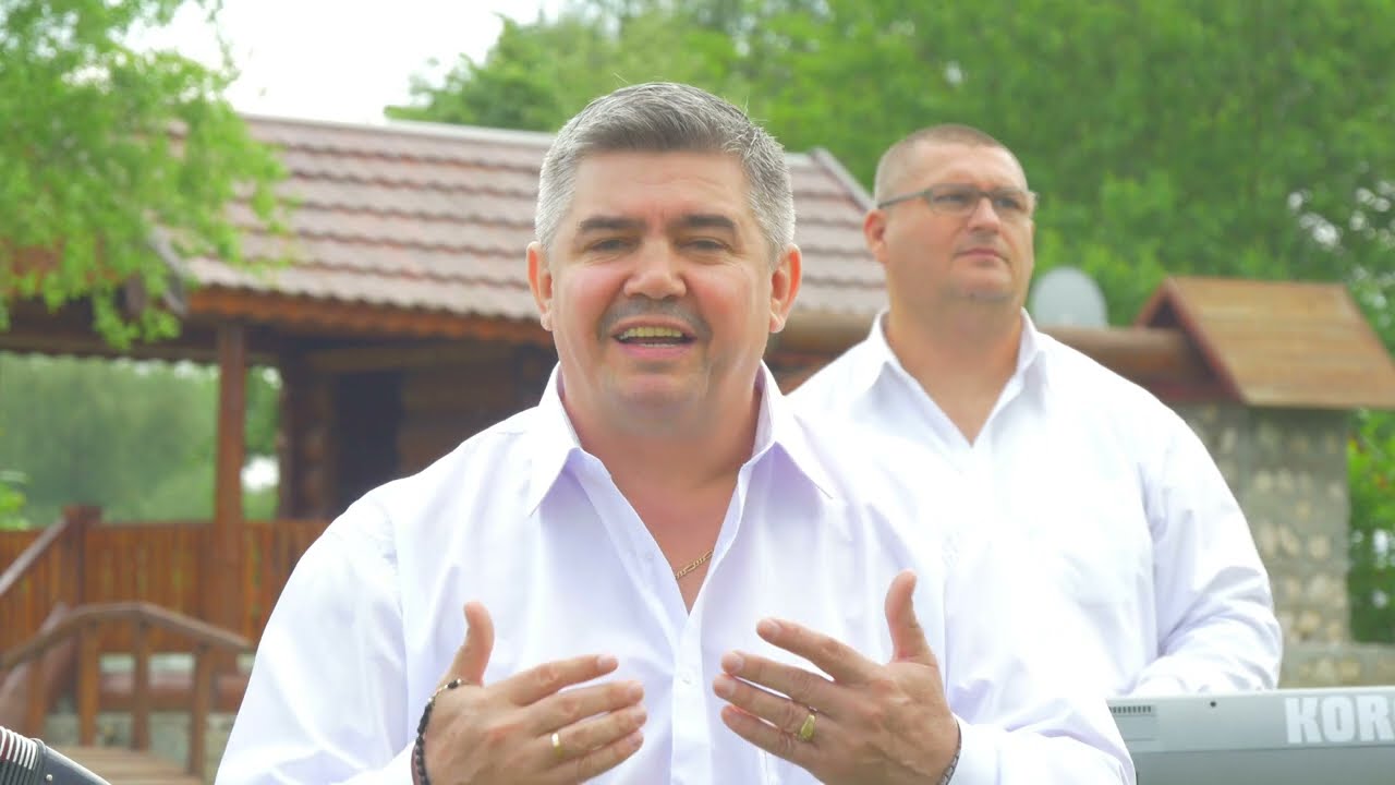 Vlada Nedin - Din paharul vieții-aș bea