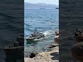 ⛴️🛳️