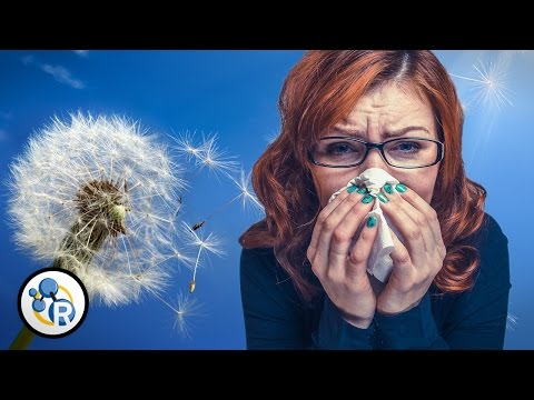 Why Do We Get Allergies?