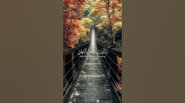 قران كريم راحة نفسيه هدوء توبه #لايك #اكسبلور_فولو #اكسبلور #قرآن_كريم #جمعة_مباركة