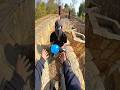 Angry Spiderman balloon challenge #youtubeshorts #parkour #ytshorts