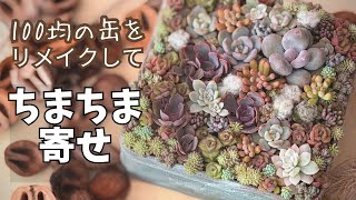 【多肉植物】100均缶をサクッとリメイク！秋色のちまちま寄せの作り方🍂 – はっぺの多肉