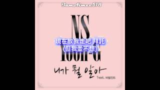 NS Yoon Ji - 니가 뭘 알아 (What Do You Know) Ft. Verbal Jint (中字_Chinese Sublitle)