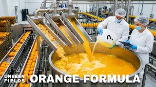 What's Actually Inside Your "Fresh" Orange Juice? | Orange Harvesting & Processing