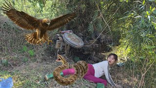 Restoring an Abandoned Farm Tractor | Amazing Transformation