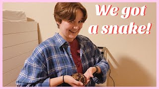 we got a pet snake! || adopting a ball python!
