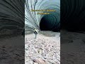 Entrance To The Ice Cave In Ushuaia Argentina Exploration Entrance To The Ice Cave In Ushuaia Argentina Exploration