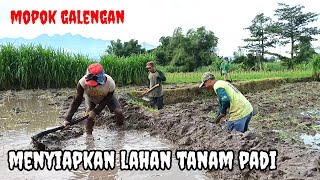 Download Lagu Langkah awal menanam padi mopok galengan sawah MP3