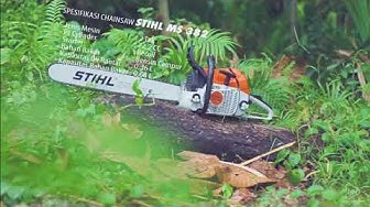 Chainsaw Stihl Ms 3 Youtube