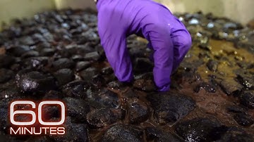 Deep sea mining: Into the deep | 60 Minutes Archive