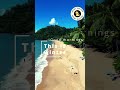 Tropical beach winter how good is this.