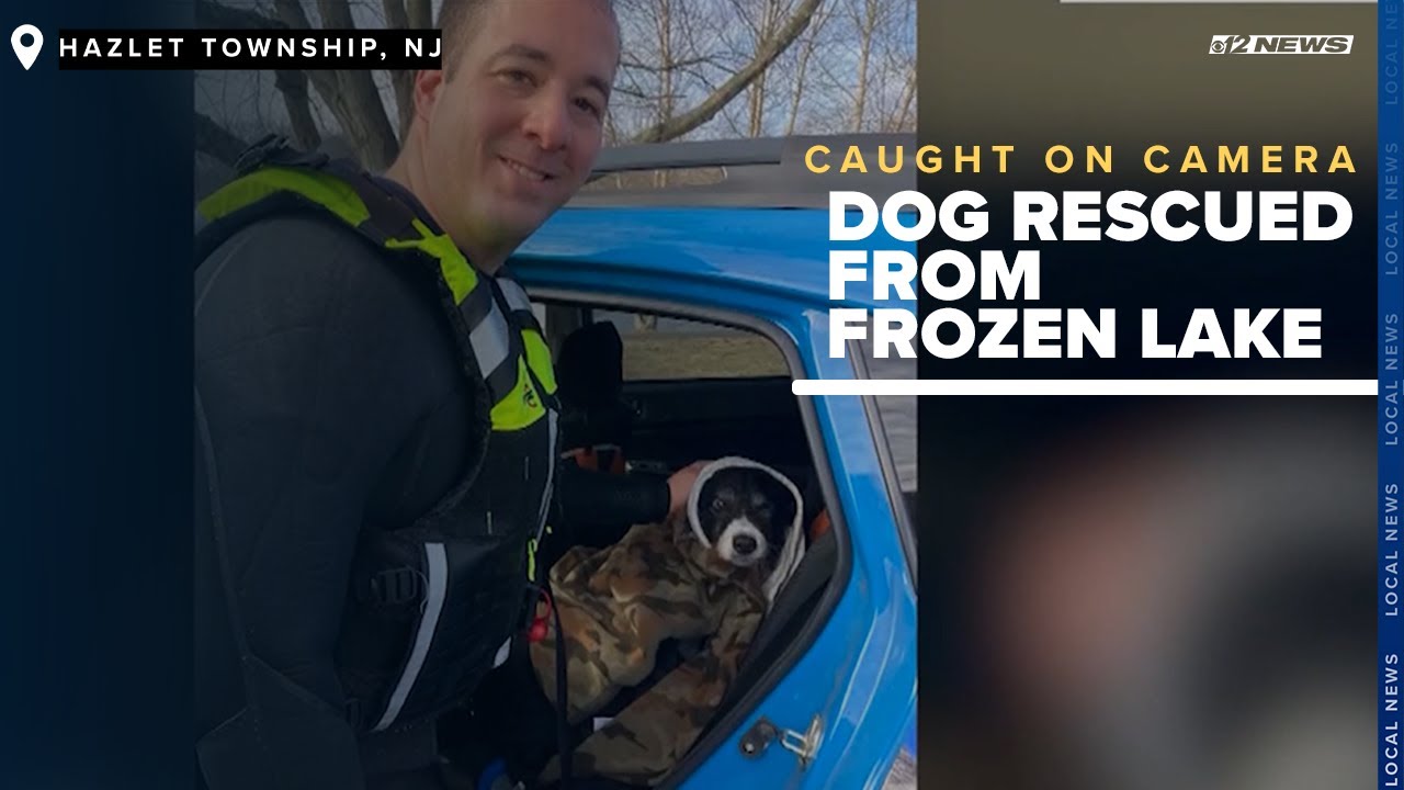 Dog Rescued From Frozen Lake by Police Officer - YouTube