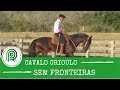 Mais um episódio do Cavalo Crioulo sem Fronteiras