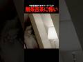 【#ホラーゲーム 】仕様が面白いけど怖すぎる...!【#ホラゲー 】