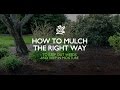How To Mulch The Right Way | Monrovia Garden