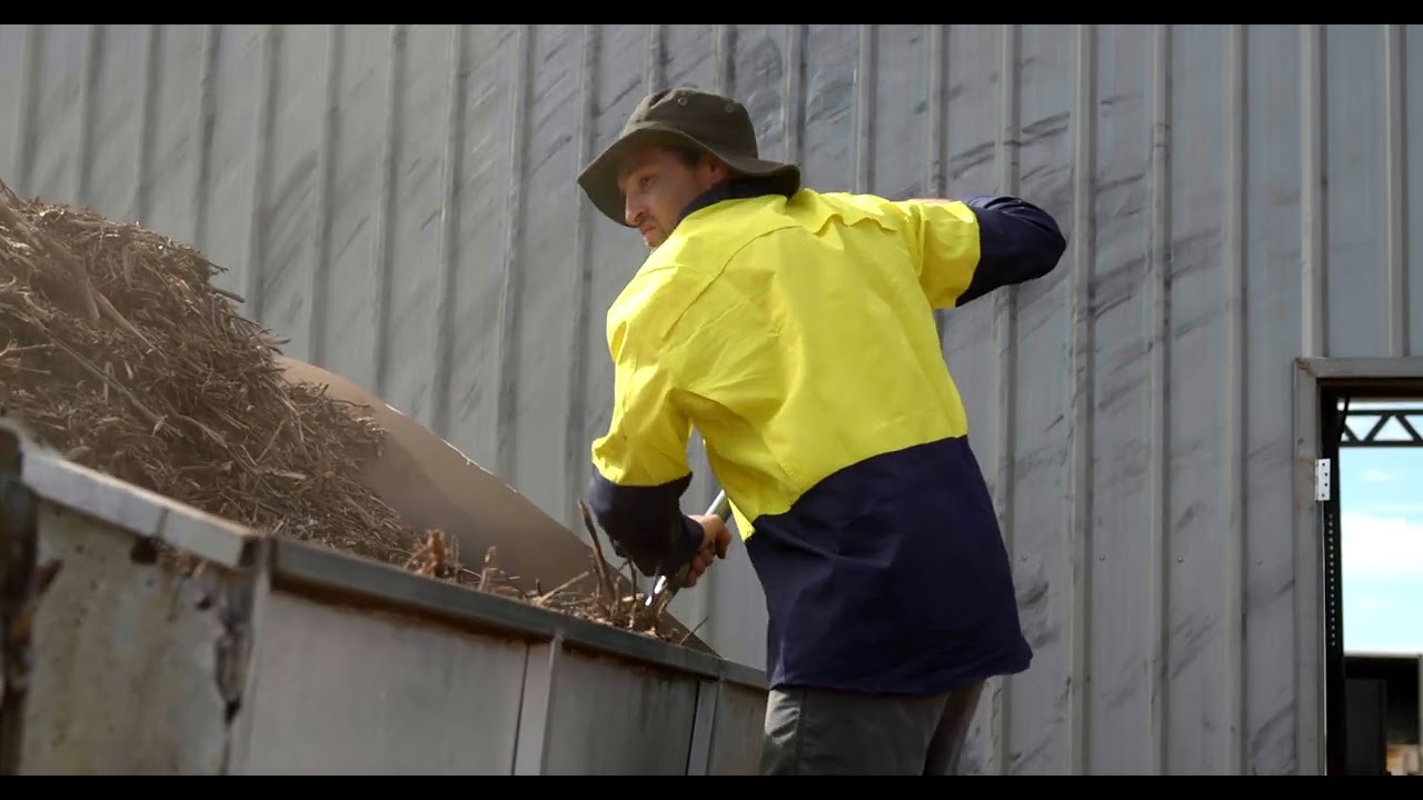 New Eucalyptus Essential Oil Blend