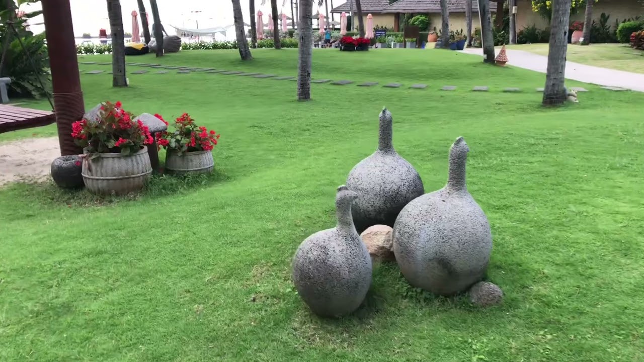 Вьетнамские каникулы. МуйНе. Ноябрь 2022. Прогулка по отелю Терракота.