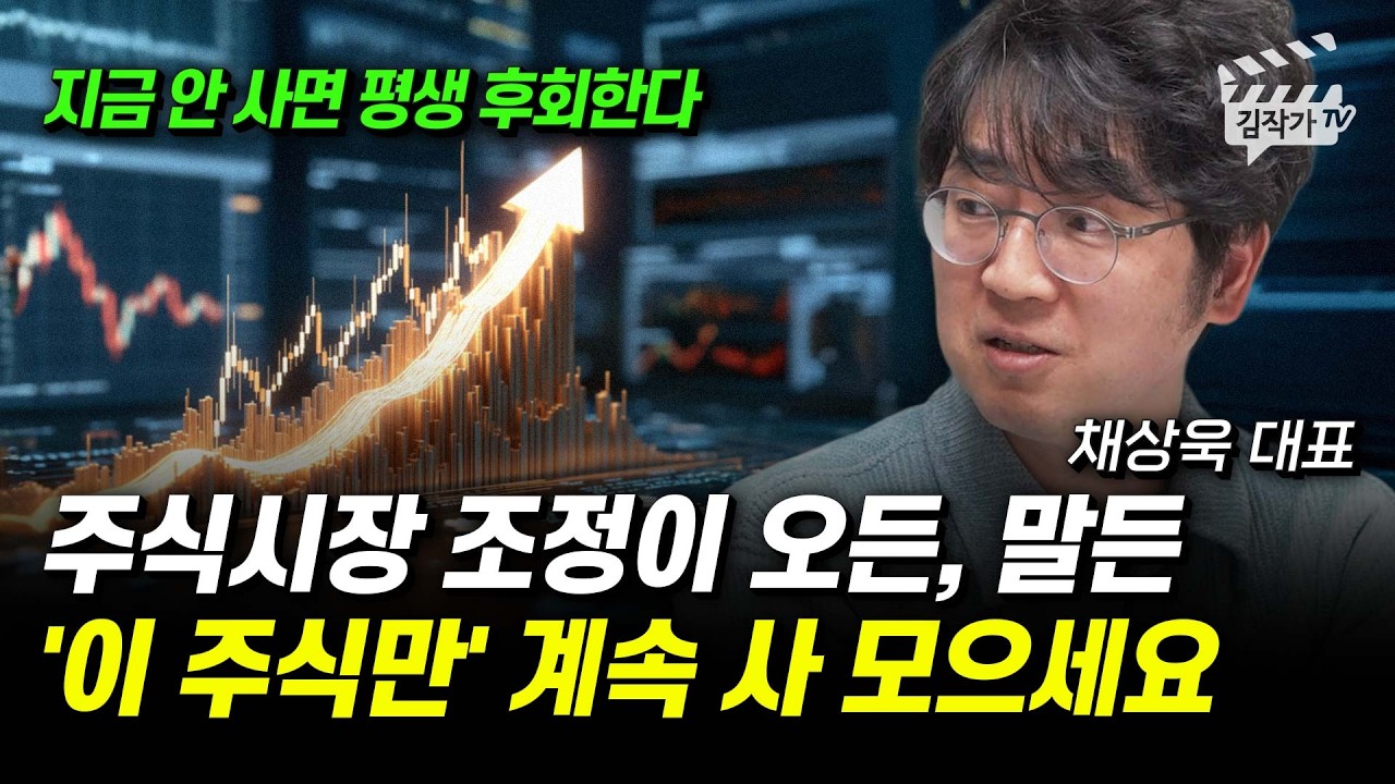 HBM 2년 반 만에 11배 올랐다, SK하이닉스 더 미친듯이 오른다 (채상욱 대표)