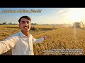 Aaj Ham kheti ke bare mein batane Wale Hain Ganjam Kaise Katate Hain