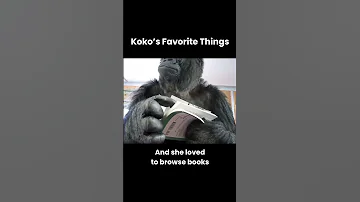 Some Of Koko S Favorite Things Evolved Over The Years But She Always Loved Flowers Books And Cats 