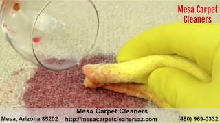 The Best Carpet Cleaning Company In Mesa Arizona