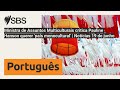 Ministra de Assuntos Multiculturais critica Pauline Hanson querer 'país monocultural' | Notícias...