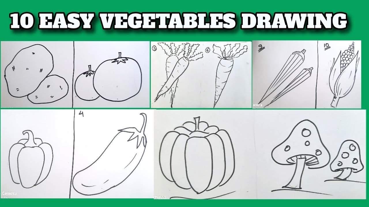 How to draw vegetables easily || By Artist Nikita shankaran - YouTube