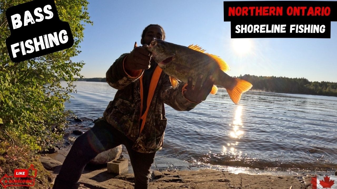 Shoreline Bass Fishing Ontario's Hidden Gem, small mouth bass #bassfishing
