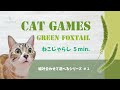 【組み合わせ猫用動画】ねこじゃらし５分 CAT GAMES #1