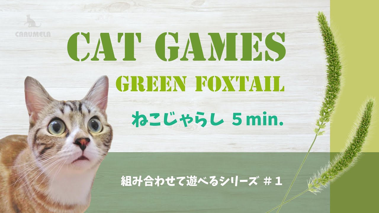 猫用動画mix２ ねずみ ひもなど 30分 Game For Cats 2 Youtube