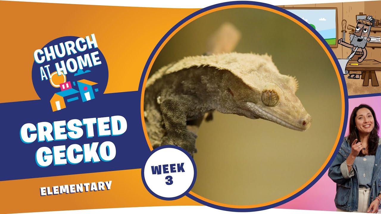 Домашняя церковь | Начальная школа | Начало учебного года, неделя 3 - 17/18 января