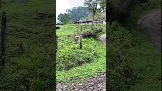 UNSEEN ROADS | EJE CAFETERO