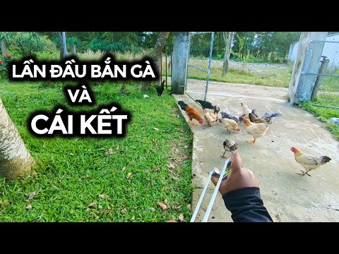 Video Ná Cao Su | Bắn Giúp Con Gà Cho Anh Hàng Xóm Và Cái Kết - youtube