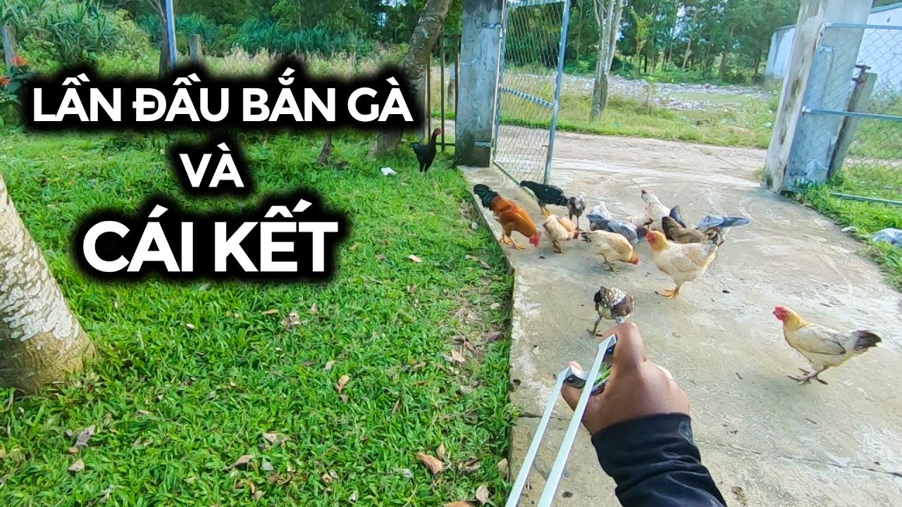 Ná Cao Su | Bắn Giúp Con Gà Cho Anh Hàng Xóm Và Cái Kết
