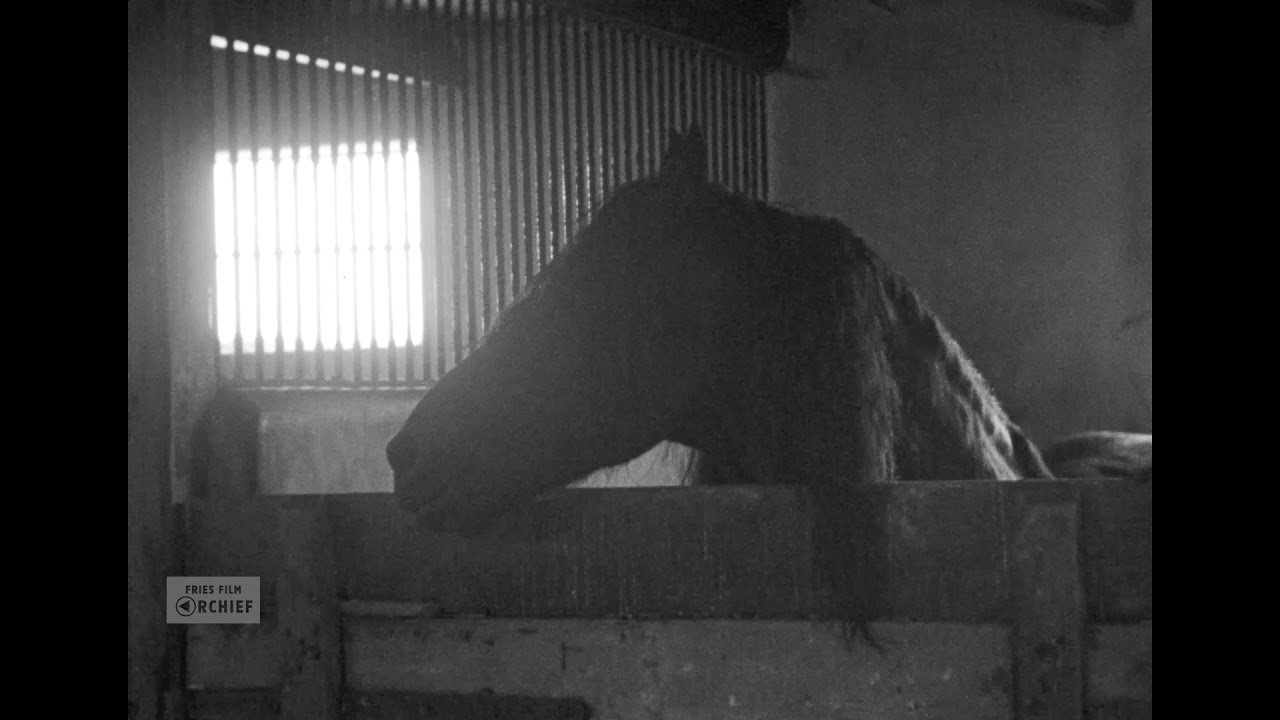 Het Hooien, 1953-1955