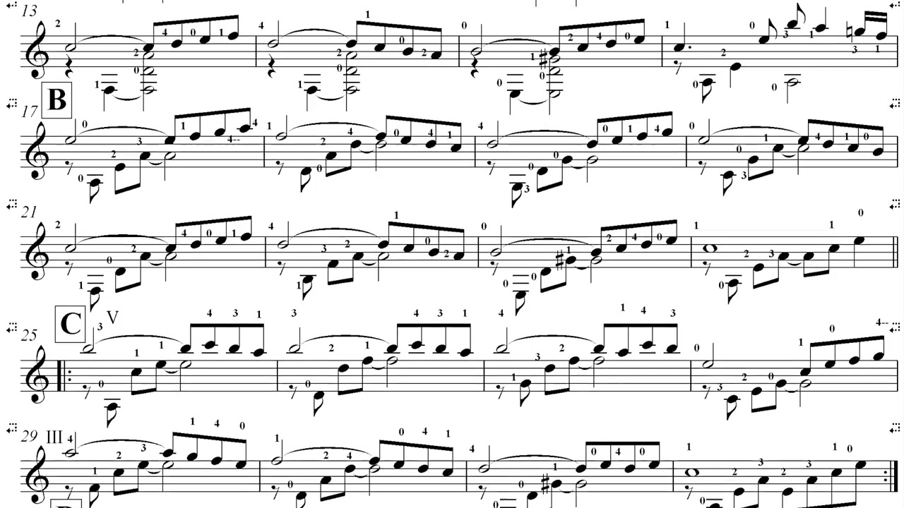 Divi  R.Pauls  guitar PDF