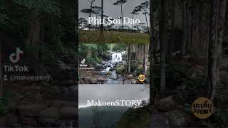 Phu Soi Dao #nature #ท่องเที่ยว #travel #alone #park #nationalpark #makoenstory #มะเกิ๋นstory