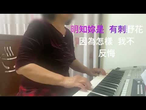 234～曉明電子琴～舊情綿綿～Slow  Rock