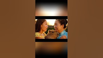 👉 Chị Tạm Biệt Capybara Yêu Thương – Ngày Cuối Cùng #capybara