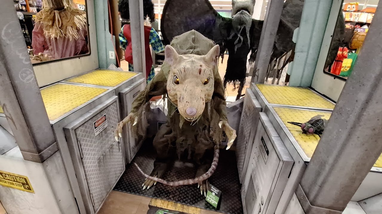 Spirit Halloween 2025 Store Tour #1 Abandoned Big Lots (Chandler Arizona)