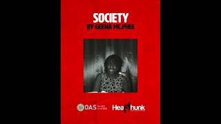 Commentary on Society by Geena Mc Phee