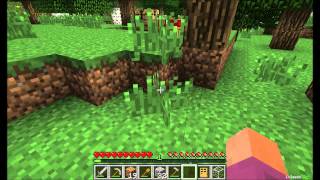 Mod Spotlight   BestModEver