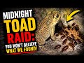 Midnight Toad Raid: You Won’t Believe What We Found!