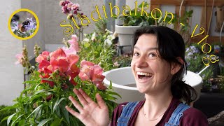 April Balkon-Vlog: Anpflanzen, Aufräumen und es sich gemütlich machen!