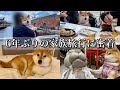 【柴犬】6年ぶりの家族旅行で北海道大満喫してきました!
